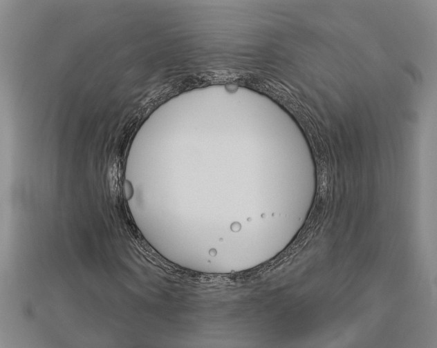 X0000112920866200908241029