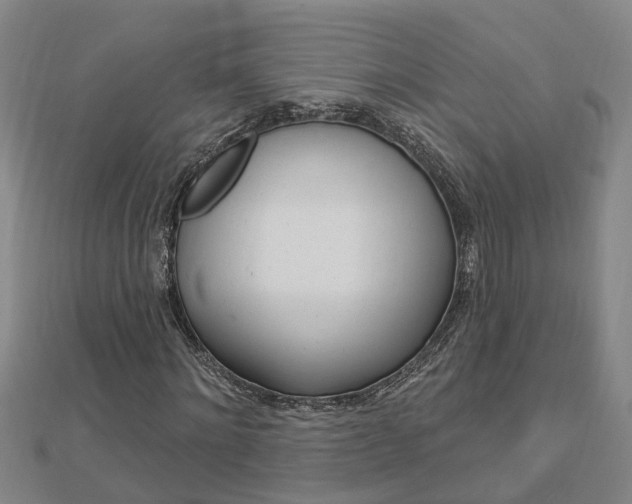 X0000112920868200908241029