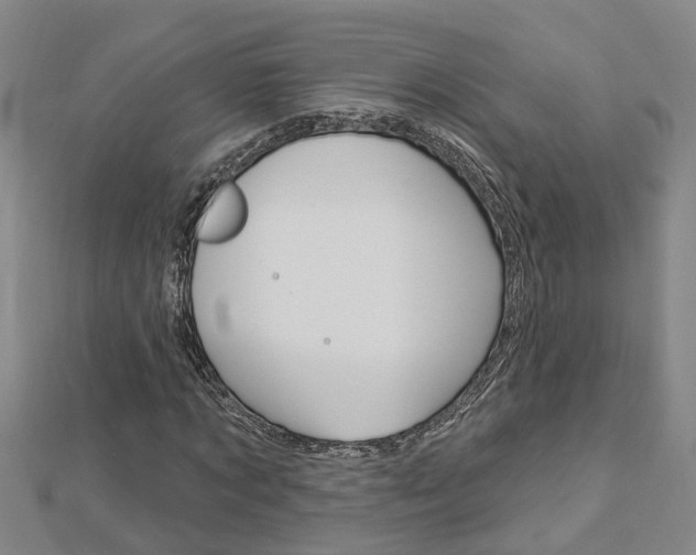 X0000112920869200908241029