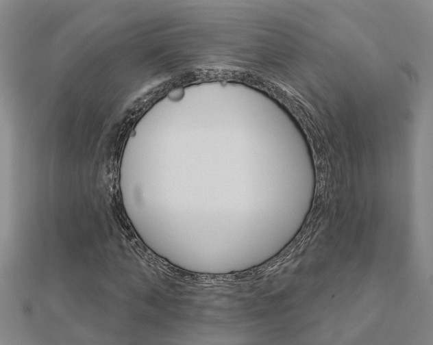 X0000112920870200908241029