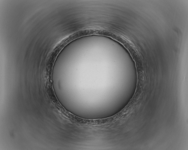 X0000112920872200908241029