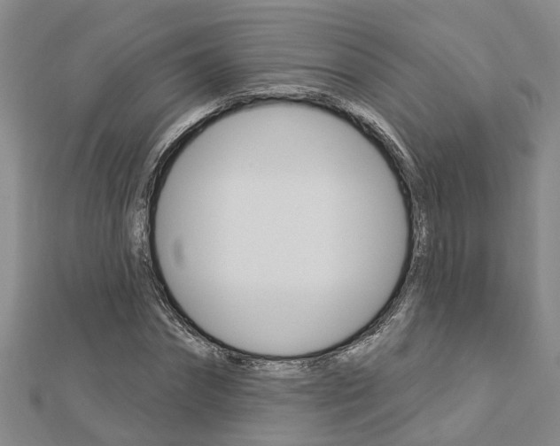 X0000112920874200908241029