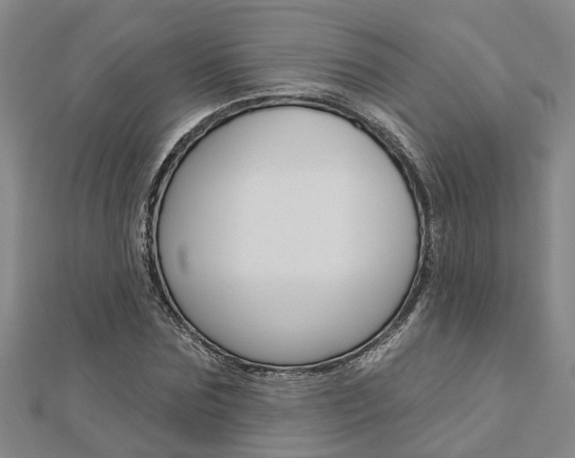 X0000112920875200908241029