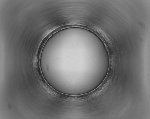 X0000112920876200908241029