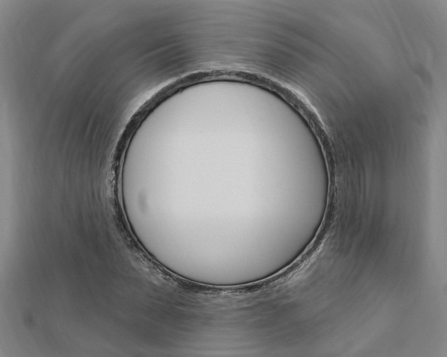 X0000112920879200908241029