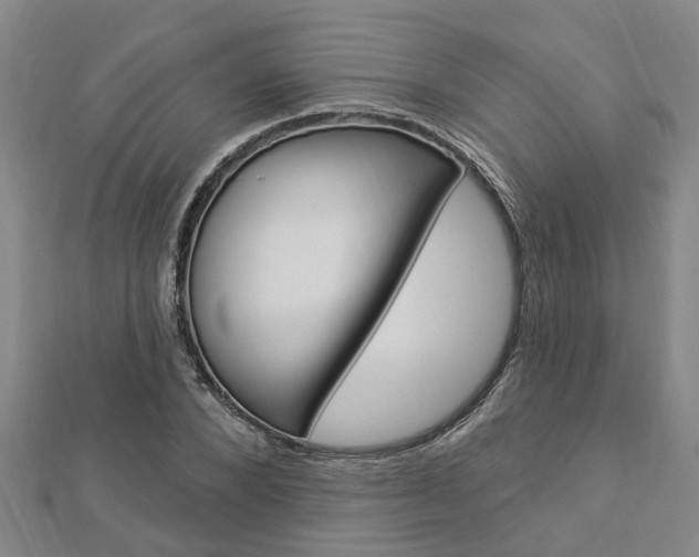 X0000112920880200908241029