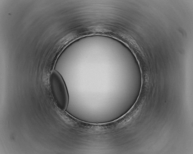 X0000112920881200908241028