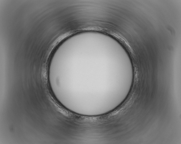 X0000112920882200908241028