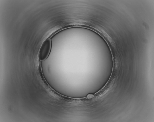 X0000112920885200908241028