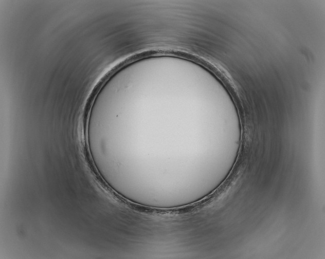 X0000112920887200908241028