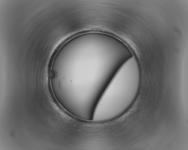 X0000112920888200908241028