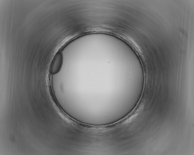 X0000112920893200908241028