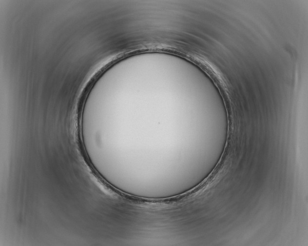 X0000112920894200908241028
