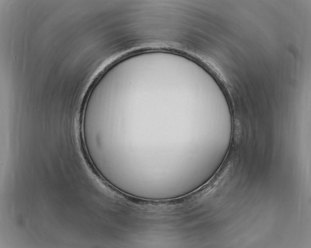 X0000112920895200908241028