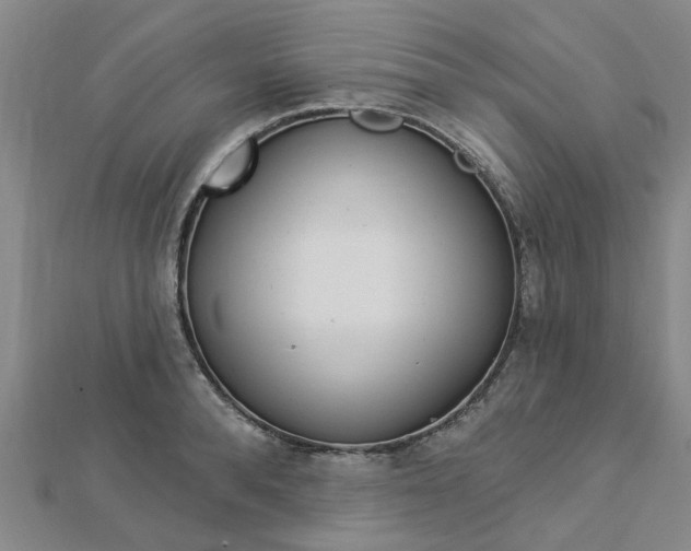X0000112920896200908241028