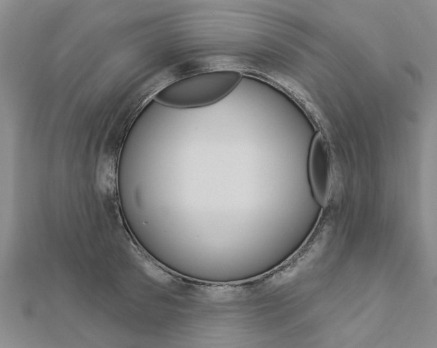 X0000112920897200908241028
