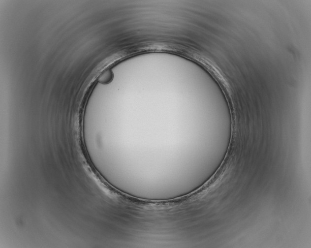 X0000112920898200908241028