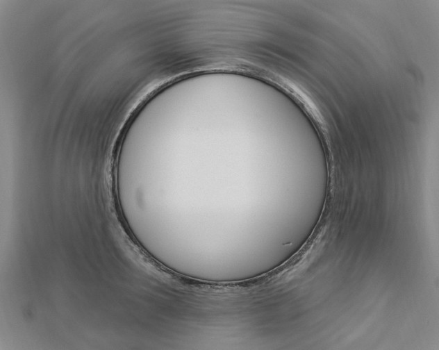 X0000112920899200908241028
