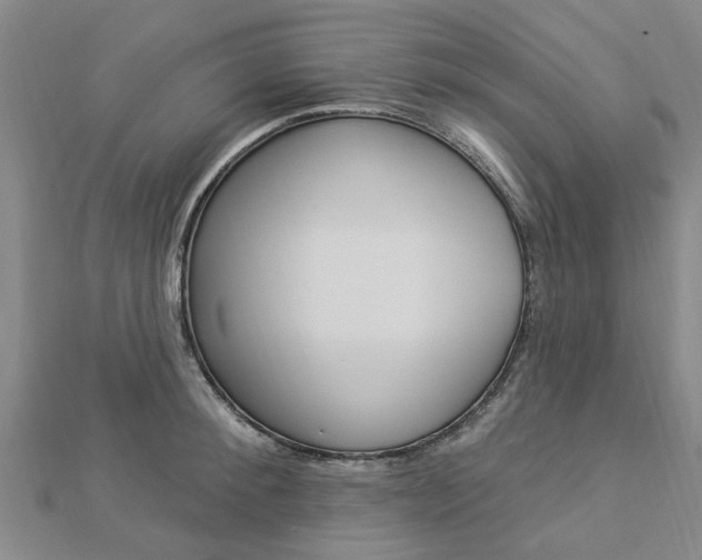 X0000112920900200908241028