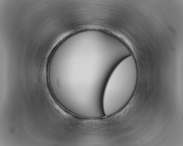 X0000112920902200908241028
