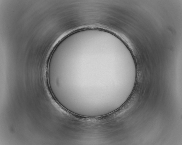 X0000112920903200908241028