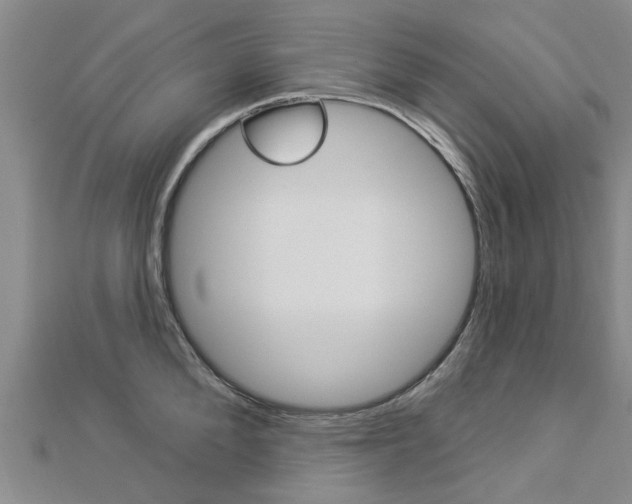 X0000112920904200908241028