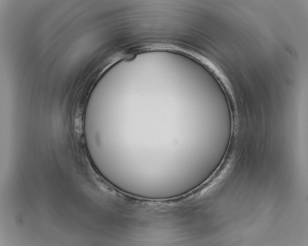 X0000112920905200908241028