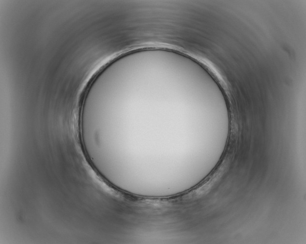 X0000112920910200908241028