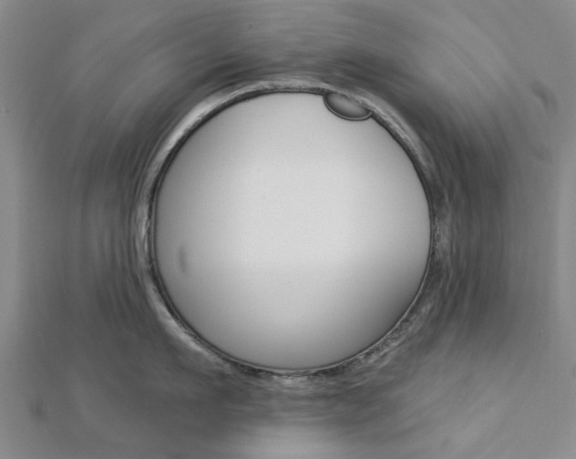 X0000112920911200908241028