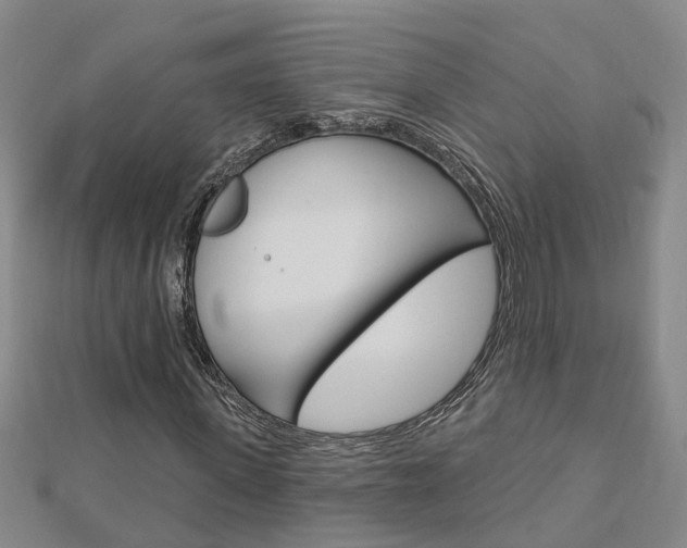 X0000112920915200908241028