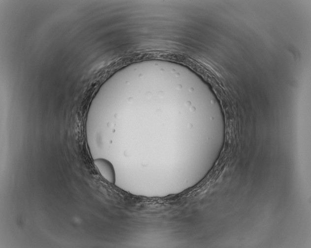 X0000112920917200908241028