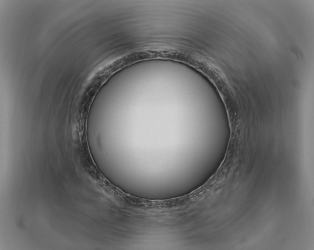 X0000112920920200908241028