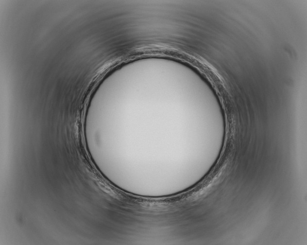 X0000112920921200908241028