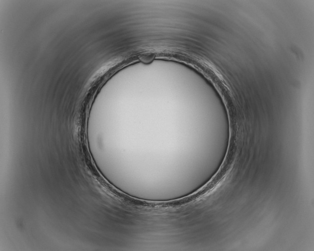 X0000112920922200908241028