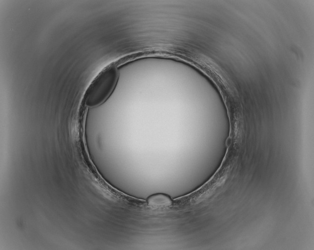 X0000112920924200908241028