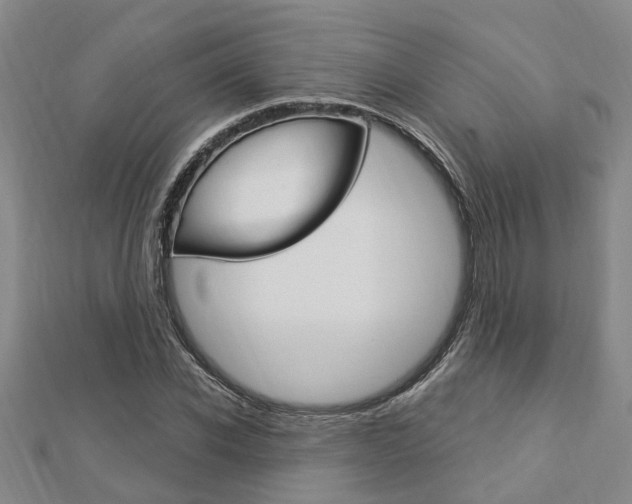 X0000112920926200908241028