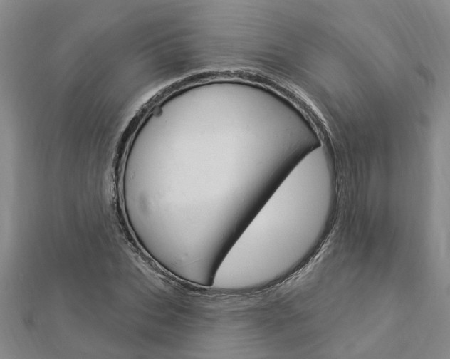 X0000112920927200908241028