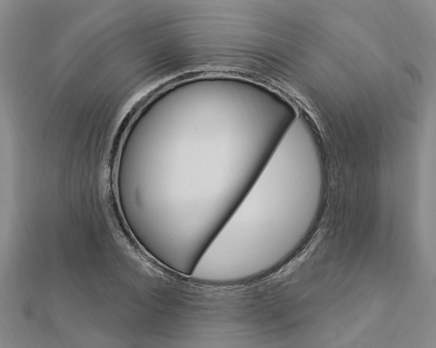 X0000112920928200908241028