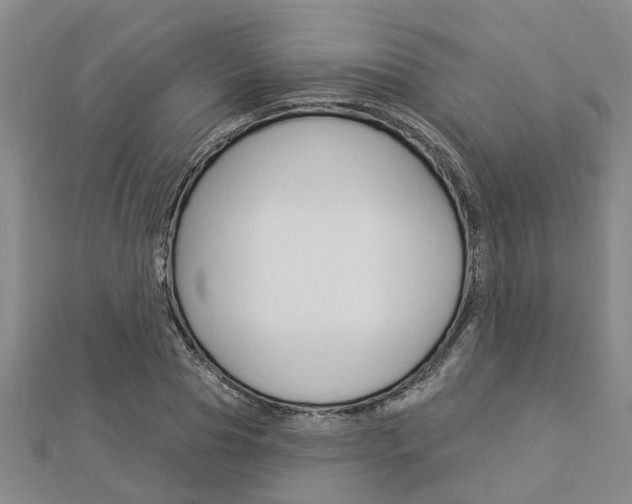 X0000112920929200908241028