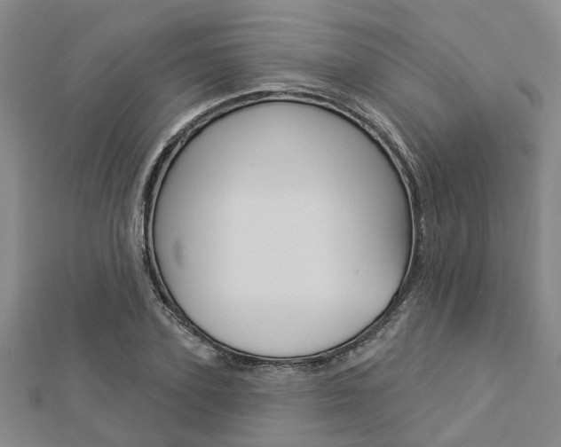 X0000112920931200908241028