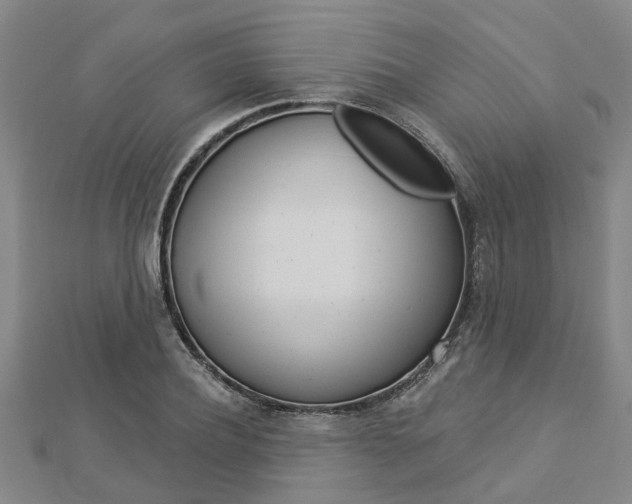X0000112920932200908241028