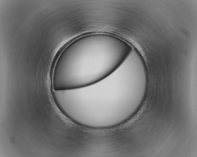 X0000112920936200908241028