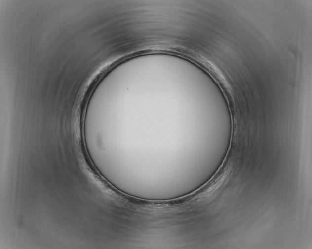 X0000112920939200908241028