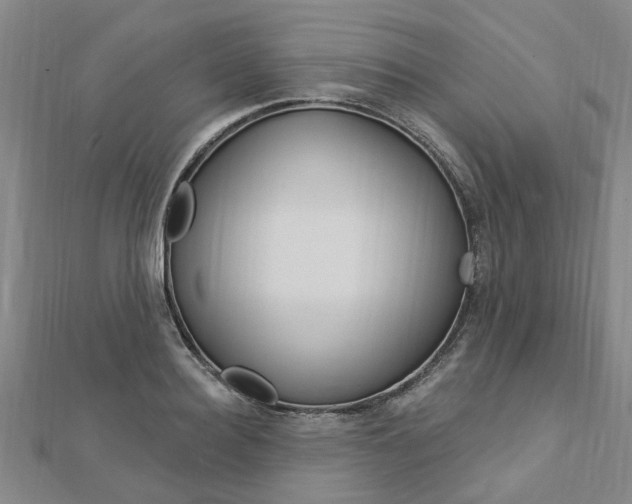 X0000112920940200908241028