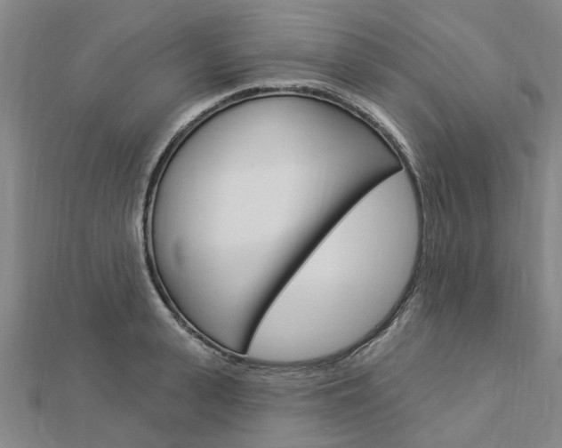 X0000112920943200908241028