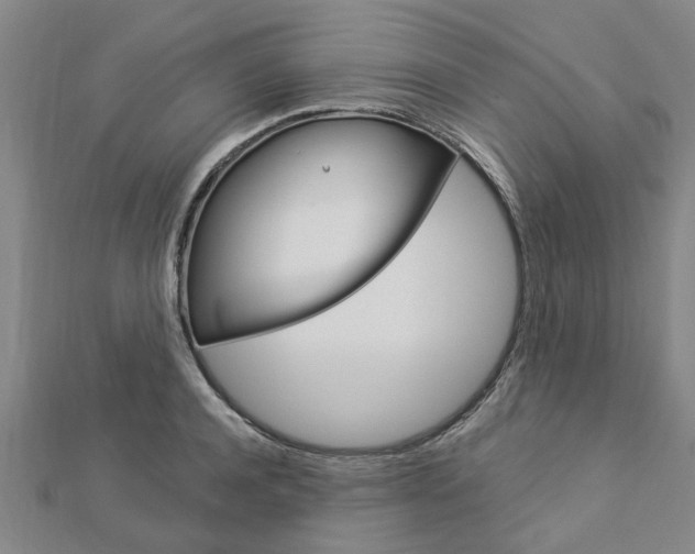 X0000112920944200908241028