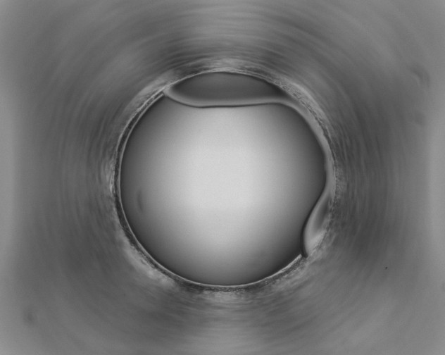 X0000112920946200908241028