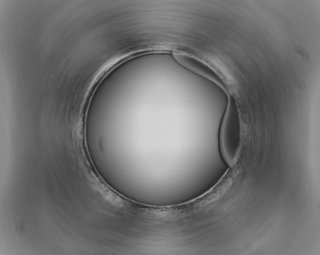 X0000112920948200908241028