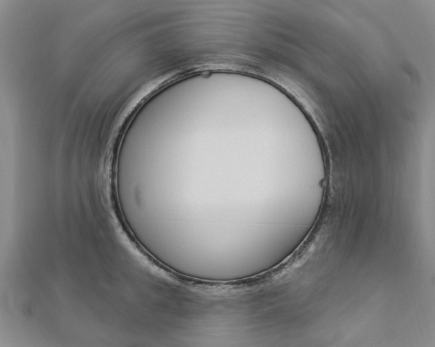 X0000112920949200908241028