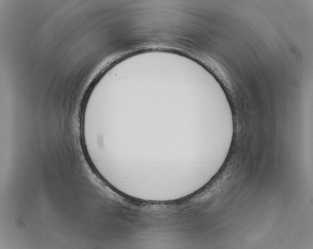 X0000112920950200908241028